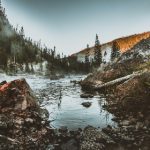 全部免费特黄特色大片 499st68kt