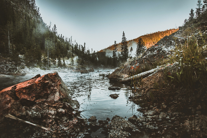 全部免费特黄特色大片 全部免费特黄特色大片