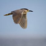 全高清录播系统大片一 6digq4qgx