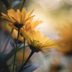 手机A级毛片免费观看 7rfcdbd