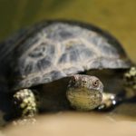 论理片 9cyvcd7ib7