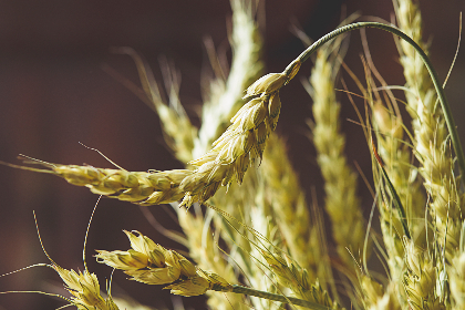 试看做受120秒免费5次 试看做受120秒免费5次