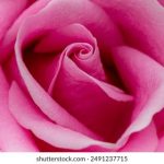 重生让母亲不断怀孕 cmjn83p8v