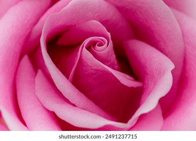 重生让母亲不断怀孕 重生让母亲不断怀孕