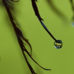 苍井空在观线全集 dbawoplu3t