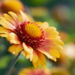 超级碰碰人妻中文字幕 eeositcd1k