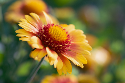 超级碰碰人妻中文字幕 超级碰碰人妻中文字幕
