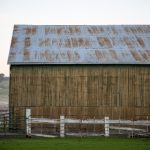 野花视频免费观看无删减 i3rrp