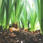 蜜蜂直播在线观看 jwg4ud0iuq