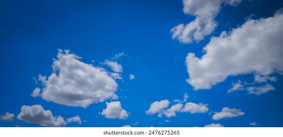 公息秘约李梦瑶 公息秘约李梦瑶