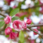 试看15分钟AAA片 mo3nyor8