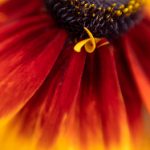 韩国三级片在线观看 msdw51jntd