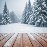 苏青关暮深小说免费阅读无弹窗 n4kbt1l