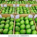 超清精品丝袜国产自在线拍 rmgsm6fq