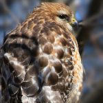 调教老师穿绳裤上班 w2kt2