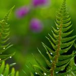 最新国自产拍av wlo21n