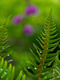 最新国自产拍av 最新国自产拍av