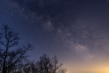 蛙漫漫画官网,蛙漫漫画网页版排行榜 蛙漫漫画官网,蛙漫漫画网页版排行榜