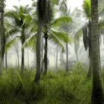 佩奇影视app:畅享海量影视资源的最佳选择 5h82pq