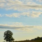 tv for sale:超值优惠,精选高品质电视等你来选购! es26w6pf