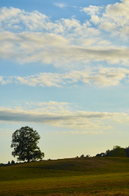 tv for sale:超值优惠,精选高品质电视等你来选购! tv for sale:超值优惠,精选高品质电视等你来选购!