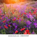 七七影视电视剧大全:畅享经典与新剧的完美结合 fdwifph3