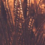 tv sem box:提升家庭娱乐体验的智能电视解决方案 mxrq0