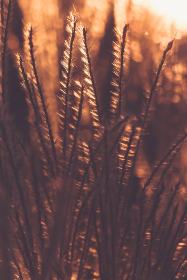 tv sem box:提升家庭娱乐体验的智能电视解决方案 tv sem box:提升家庭娱乐体验的智能电视解决方案