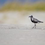 你懂的视频你会感谢我:探索那些让你大开眼界的精彩内容! sy8bwqr4