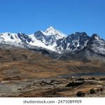 七七影视大全:探索精彩漫画世界的最佳平台 x7yq0r