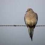 使用滚珠肛塞锻炼肛门的效果与注意事项 xap73ow762